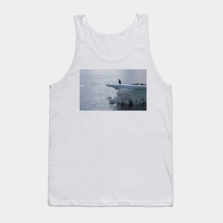 Adelie penguin at Brown Bluff Tank Top